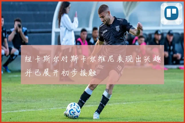 纽卡斯尔对斯卡尔维尼表现出兴趣并已展开初步接触