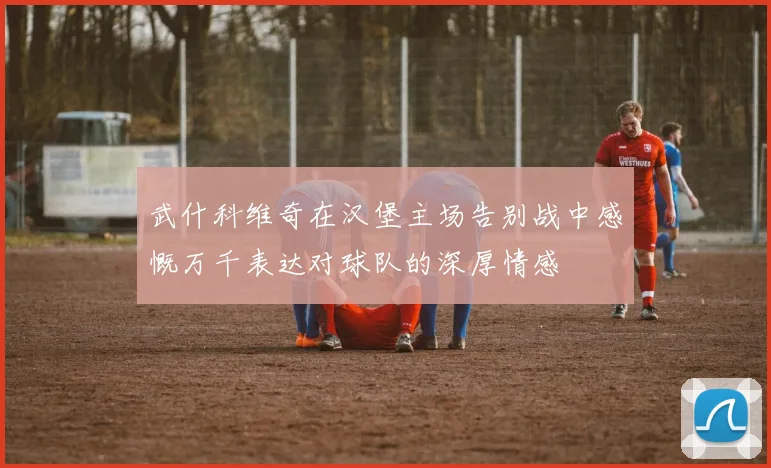 武什科维奇在汉堡主场告别战中感慨万千表达对球队的深厚情感