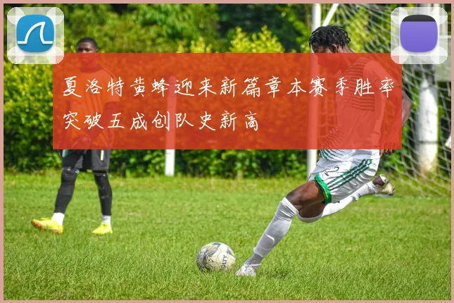 夏洛特黄蜂迎来新篇章本赛季胜率突破五成创队史新高